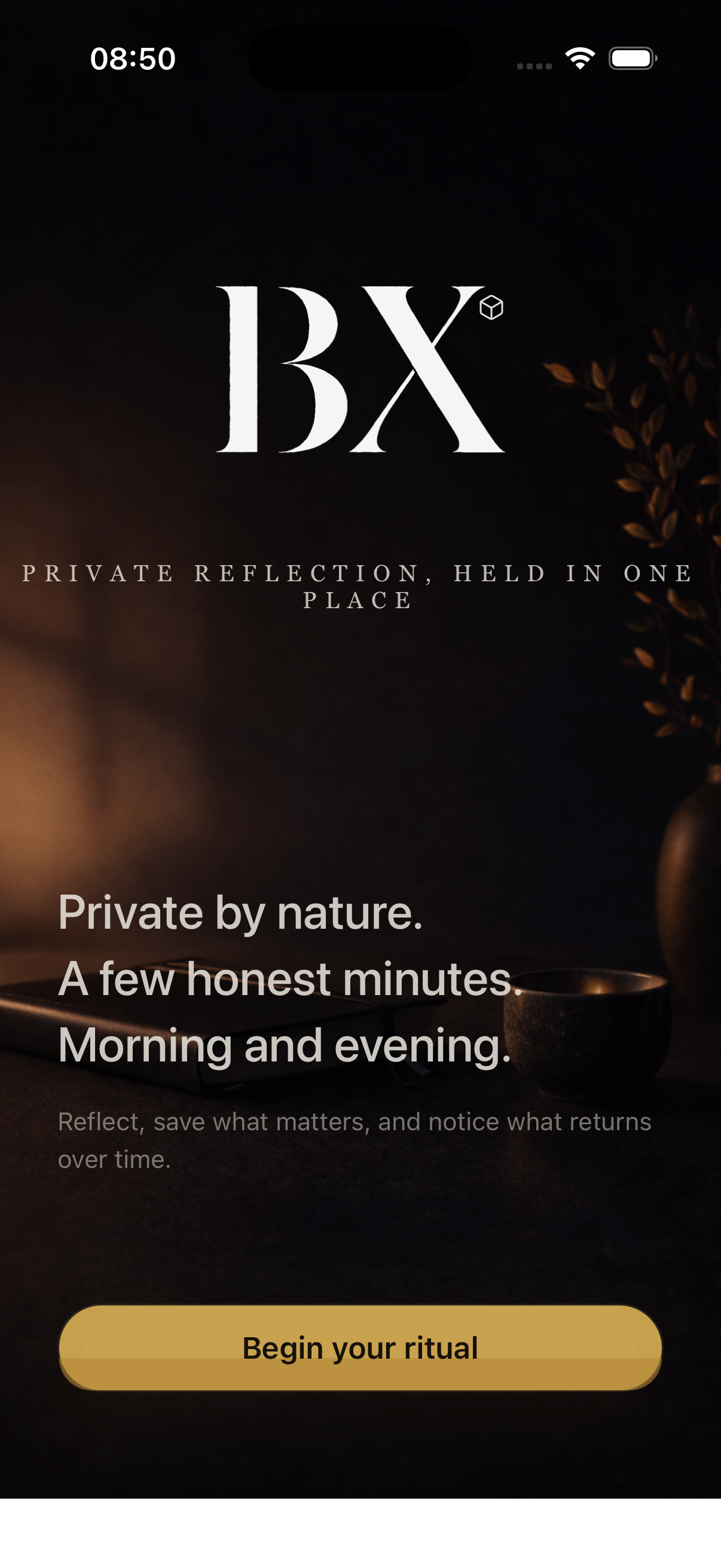 Blackbox Journal splash screen